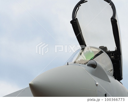 イギリス空軍タイフーンFGR4の機首部 イギリス空軍タイフーンFGR4の機首部 100366773