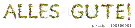 Blooming Flower Letters Building Word Alles Gute Means Best Wishes 100366901