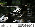 手水舎に並ぶ柄杓2 100369001