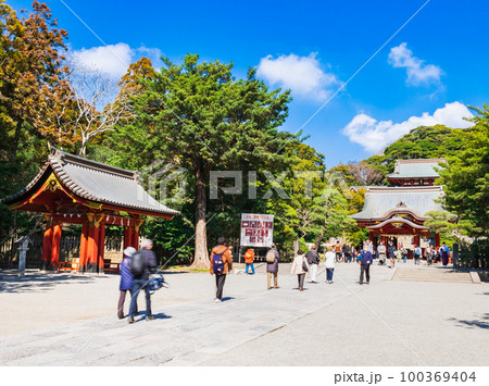 鎌倉 鶴岡八幡宮 鎌倉 鶴岡八幡宮 100369404