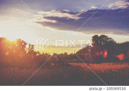 Rural landscape in the evening at sunset Rural landscape in the evening at sunset 100369530