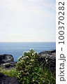 海 水平線 済州 100370282