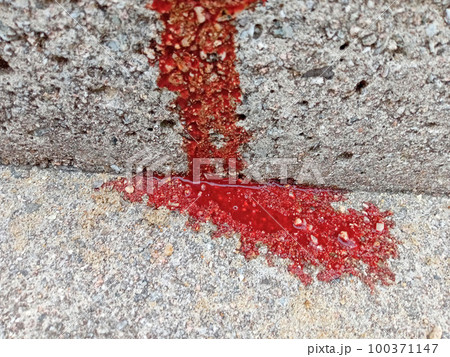 階段の流血 100371147