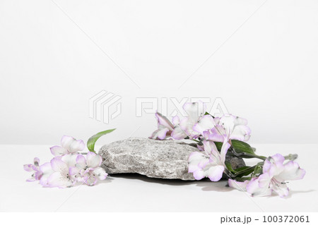 Concrete stone podium on a white gray background with hard shadows and plant, flowers. Minimal empty cosmetic product presentation scene. Geometric podium. Concrete stone podium on a white gray background with hard shadows and plant, flowers. Minimal empty cosmetic product presentation scene. Geometric podium. 100372061