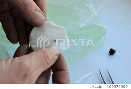 a person places a tiny seed on a wet cotton pad for subsequent germination in a closed micro environment, spring work on growing seedlings at home 100372399
