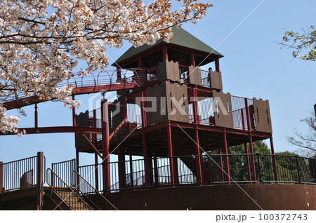 スナップフォト：アンデルセン公園の春　大きな滑り台と桜の花 100372743