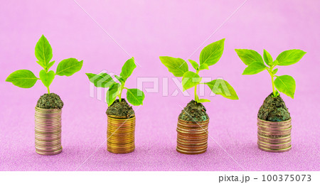 Row of coins with green leaf plant springing to life isolated on purple paper background,Business growing and nature environment background concept Row of coins with green leaf plant springing to life isolated on purple paper background,Business growing and nature environment background concept 100375073