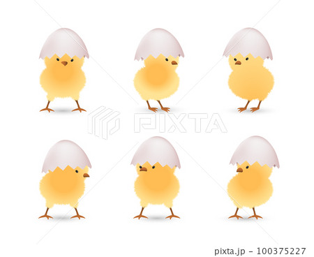 Chicks in white broken eggs top set Chicks in white broken eggs top set 100375227
