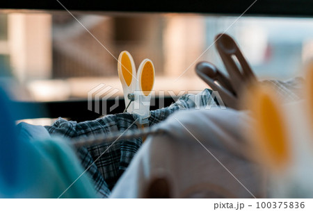 Laundry pins on ropes at home Laundry pins on ropes at home 100375836