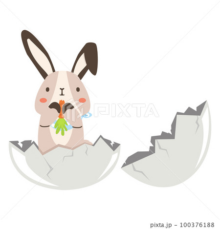 Cute rabbit in egg vector cartoon 100376188