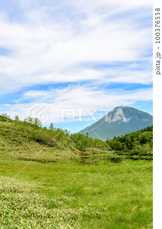 知床 羅臼湖トレッキングコースを行く 100376558