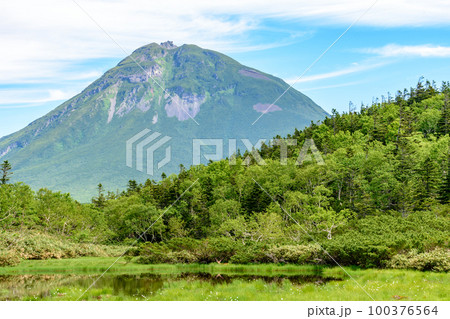 知床 羅臼湖トレッキングコースを行く 100376564