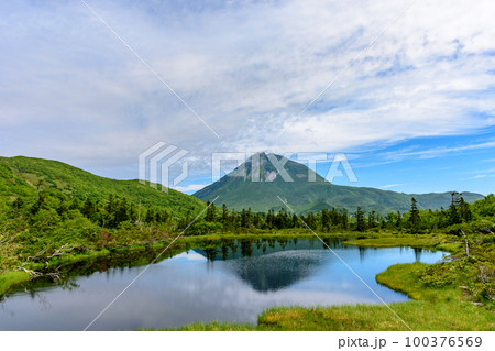 知床 羅臼湖トレッキングコースを行く 100376569