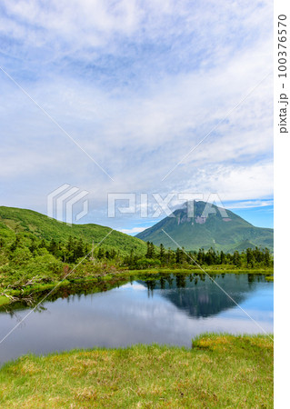 知床 羅臼湖トレッキングコースを行く 100376570