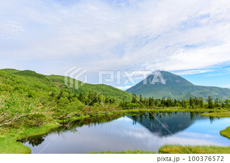 知床 羅臼湖トレッキングコースを行く 100376572