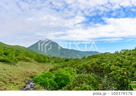 知床 羅臼湖トレッキングコースを行く 100376576