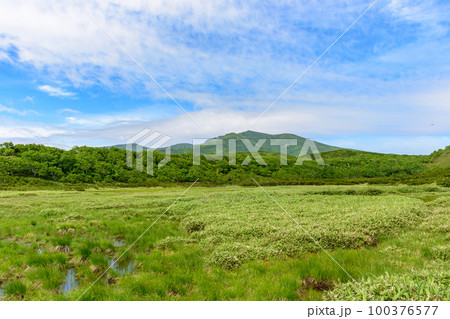知床 羅臼湖トレッキングコースを行く 100376577