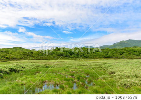 知床 羅臼湖トレッキングコースを行く 100376578
