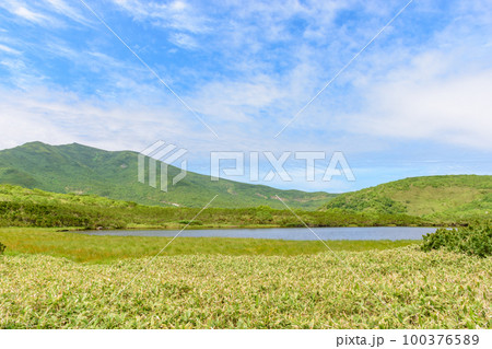 知床 羅臼湖トレッキングコースを行く 100376589