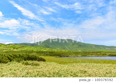 知床 羅臼湖トレッキングコースを行く 100376592