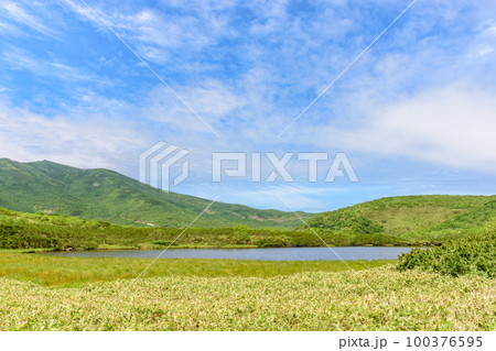 知床 羅臼湖トレッキングコースを行く 100376595