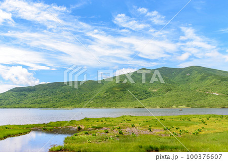 知床 羅臼湖トレッキングコースを行く 100376607