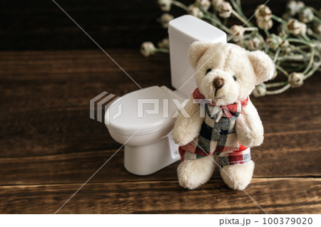 トイレとクマのぬいぐるみ トイレトレーニング トイレとクマのぬいぐるみ トイレトレーニング 100379020