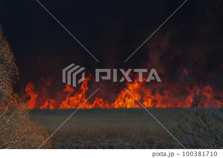 燃え上がる炎 100381710