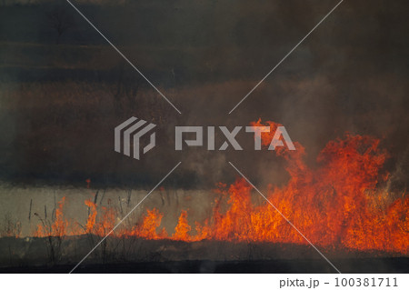 燃え上がる炎 100381711