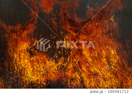 燃え上がる炎 100381712