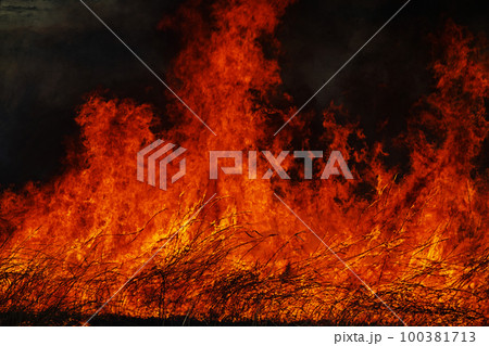 燃え上がる炎 100381713