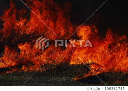 燃え上がる炎 100381715