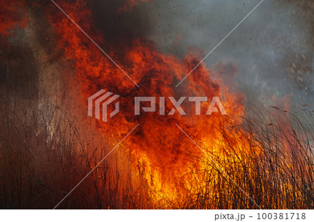燃え上がる炎 100381718