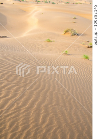 Sand dunes in the Kyzylkum desert Kazakhstan. The vast desert of Central Asia 100382145