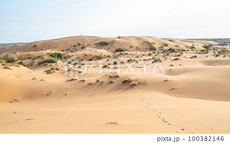 Sand dunes in the Kyzylkum desert Kazakhstan. The vast desert of Central Asia 100382146