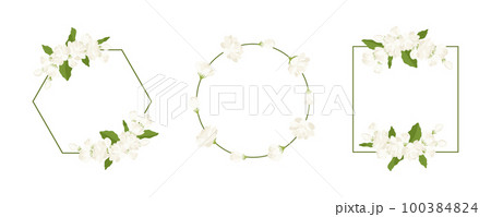 Collection of wreath jasmine flower hand drawn illustration. 100384824