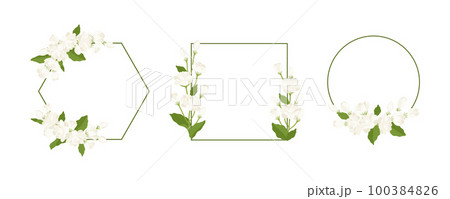 Collection of wreath jasmine flower hand drawn illustration. Collection of wreath jasmine flower hand drawn illustration. 100384826