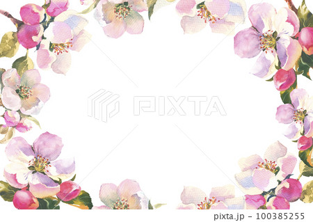 Watercolour illustration, delicate branch of an apple tree with flowers and leaves. Horisontal frame with Spring pink flowers, with empty plase for you text Watercolour illustration, delicate branch of an apple tree with flowers and leaves. Horisontal frame with Spring pink flowers, with empty plase for you text 100385255