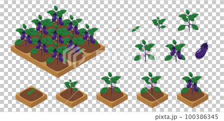 農場ゲームのイラスト_成長する茄子_アイソメトリック 農場ゲームのイラスト_成長する茄子_アイソメトリック 100386345