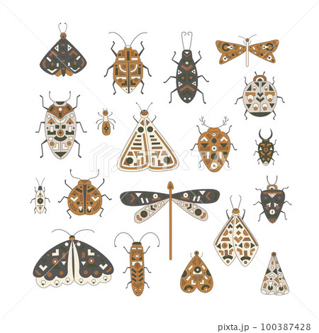 Cute folk insects set illustrations. Vector Moth, butterfly, bug, ant, gragonfly, cockroach with geometric ornament. 100387428