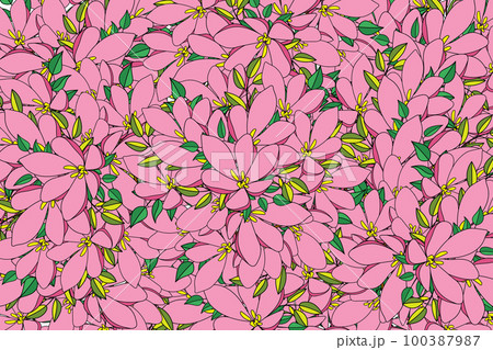 Illustration of the pink flower with leaves background. Illustration of the pink flower with leaves background. 100387987