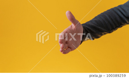 Male hand offering a handshake 100389259