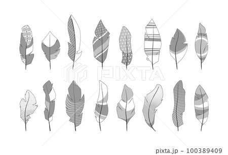 Ornamental feathers. Abstract decorative bird wing plumelet shapes, creative fantasy tribal ethnic quill silhouettes simple flat style. Vector doodle set Ornamental feathers. Abstract decorative bird wing plumelet shapes, creative fantasy tribal ethnic quill silhouettes simple flat style. Vector doodle set 100389409