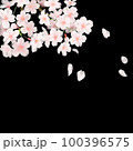 夜桜が舞い散る様子 100396575