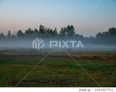 Morning fog on a meadow against a forest horizon 100397751