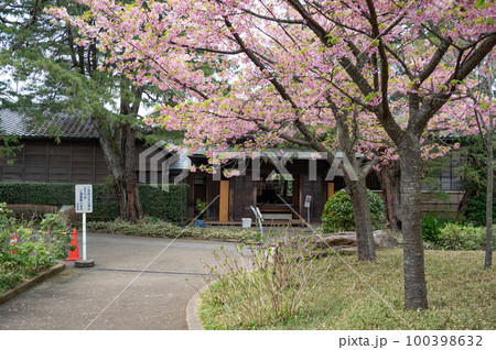 松戸、戸定邸、戸定歴史館 松戸、戸定邸、戸定歴史館 100398632