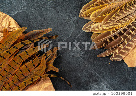 Pheasant feathers on dark textured background, copy space Pheasant feathers on dark textured background, copy space 100399601