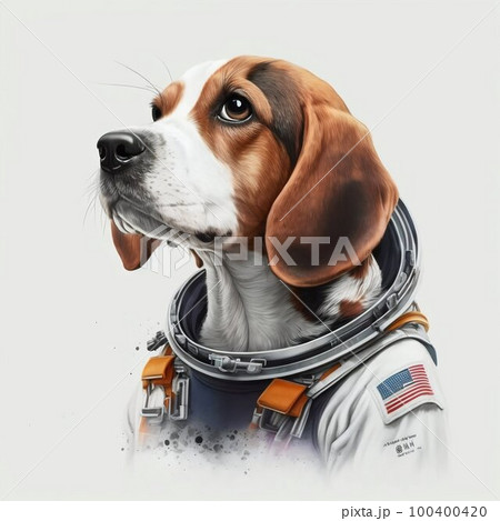 Beagle dog in astronaut suit, white background....のイラスト素材 [100400420 ...