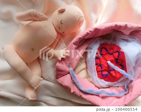 胎内環境がわかりやすい　看護助産用教材 100400554