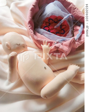 妊婦体験には実物大の胎児人形 妊婦体験には実物大の胎児人形 100400594